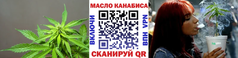 ТГК концентрат  Стародуб 