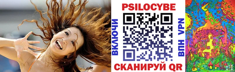 Псилоцибиновые грибы ЛСД  Стародуб 